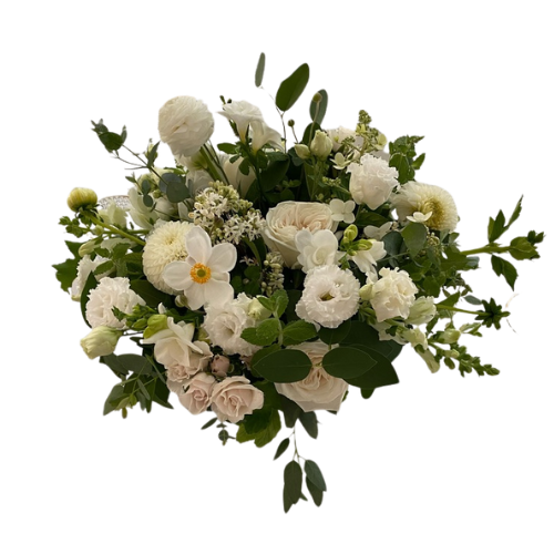 White + Green | Designer's Choice