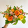 Bright + Colorful | Designer's Choice