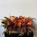 Warm Autumn