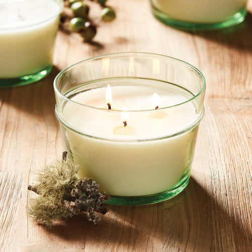 Floriculture Candle, White Peony