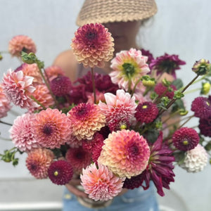 Jewel Tones | Ball Dahlias