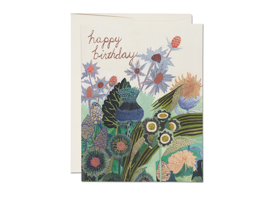 Happy Birthday Thistle | Red Cap