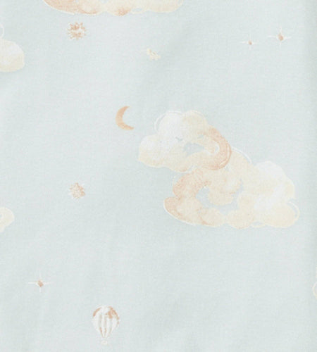 Baby Sleeper: Ice Flow / 0-3 Months