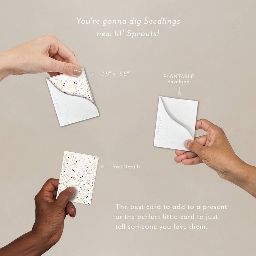Sweetest Stems Sprout Mini | Seedlings Plantable Cards