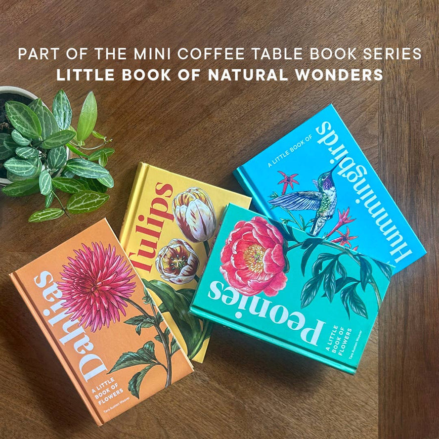 A Little Book of Hummingbirds