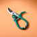 Garden Pruners Ocean