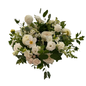 White + Green | Designer's Choice