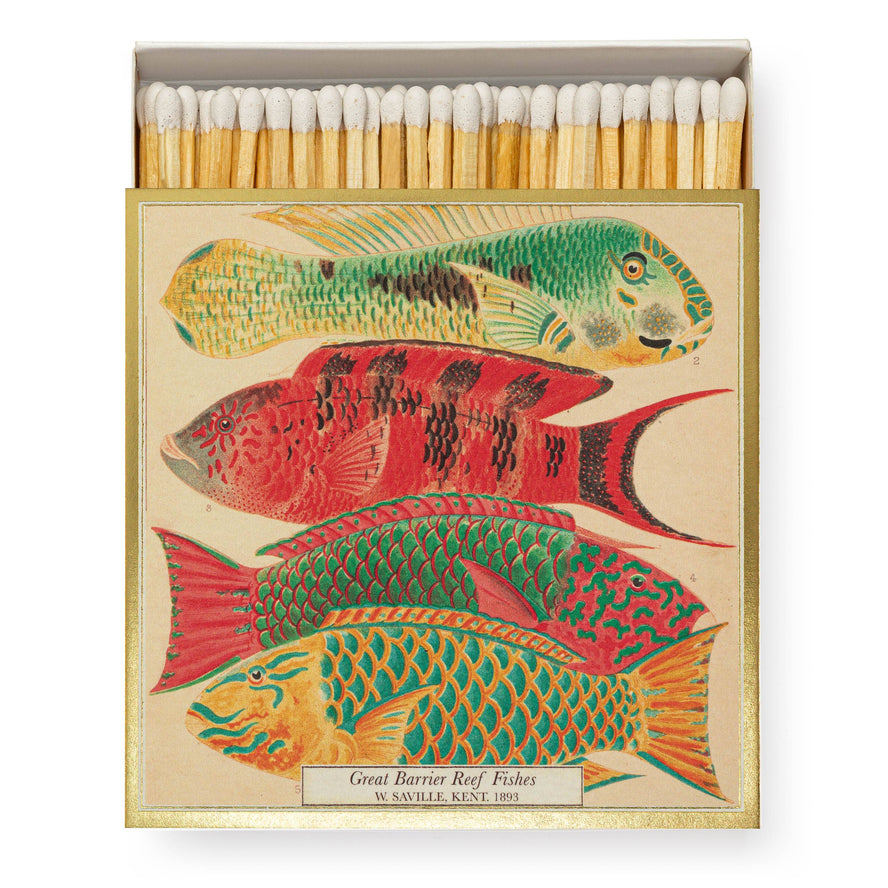 Fish | Square - Safety Matches