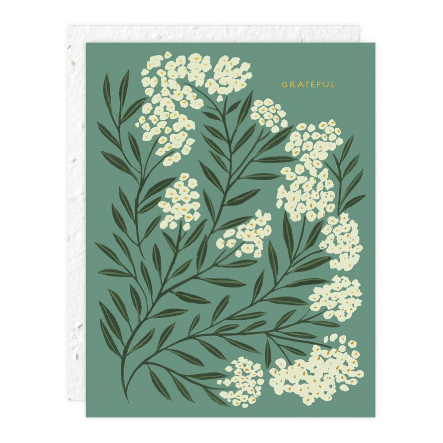 Grateful, Thank You | Seedlings Plantable Cards