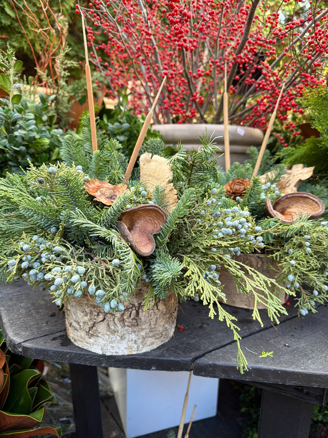 Birch Bowl w/ Natural Accents