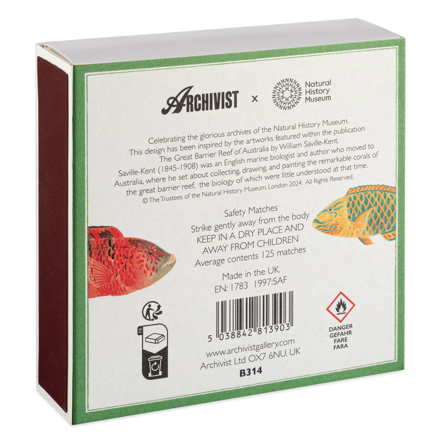 Fish | Square - Safety Matches