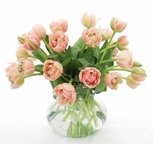 Tulips | Designer's Choice