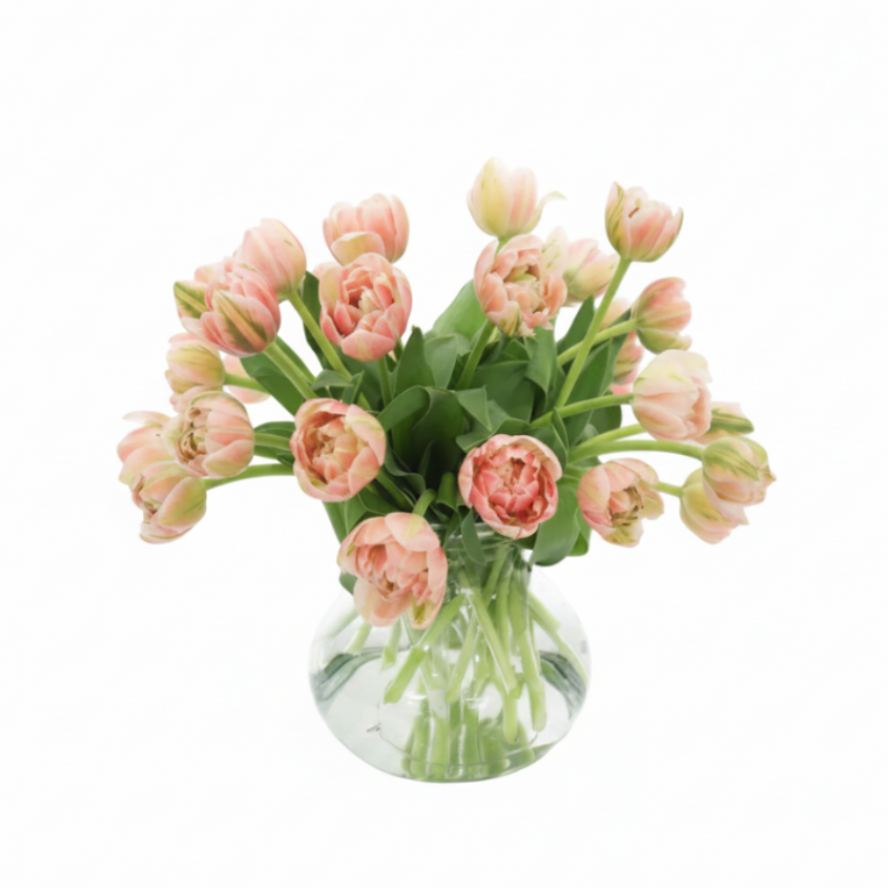 Tulips | Designer's Choice