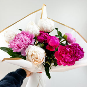 Perfect Peonies 'Fav' x 10 stems