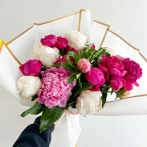 Perfect Peonies 'Fav' x 20 stems