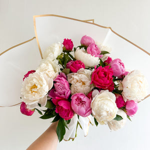 Perfect Peonies 'Fav' x 30 stems