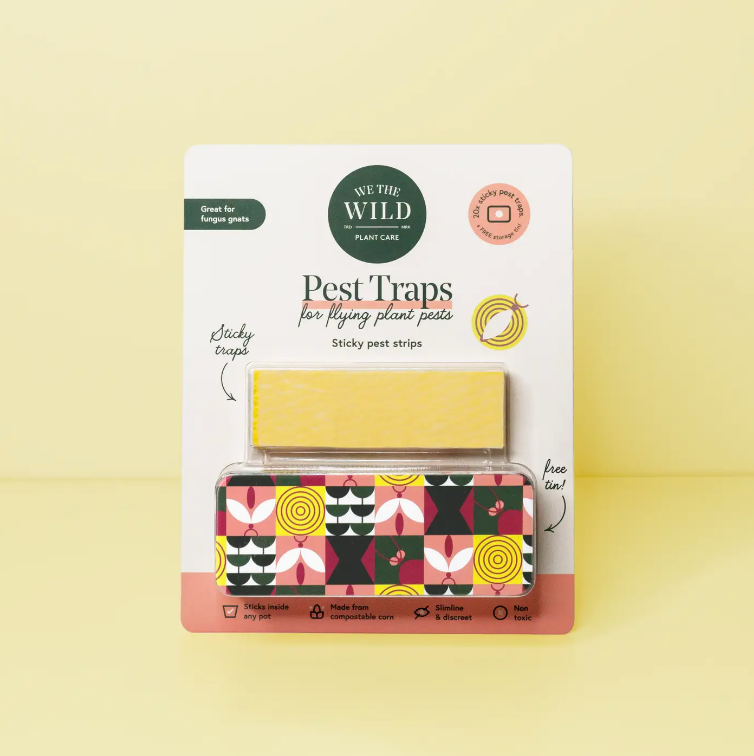 Compostable Gnat Traps