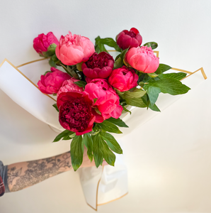 Perfect Peonies 'Red Charm'