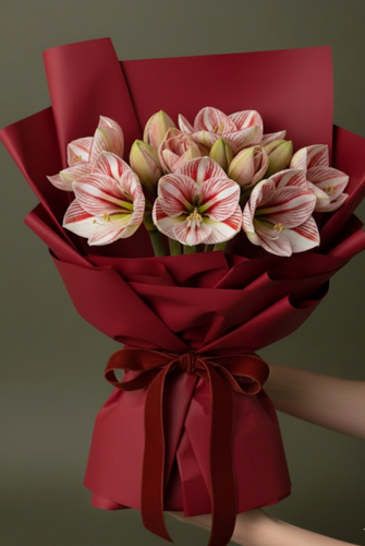 Amaryllis Bouquet
