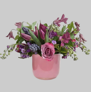 purple passion | regular