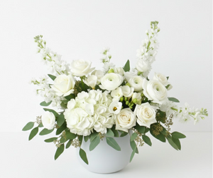 White + Green | regular