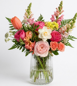 Bright + Colorful | Designer's Choice