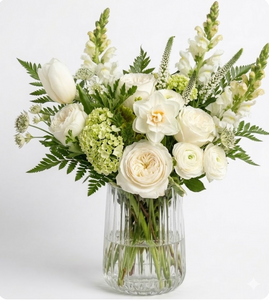 White + Green | Designer's Choice