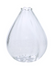 Viola Budvase