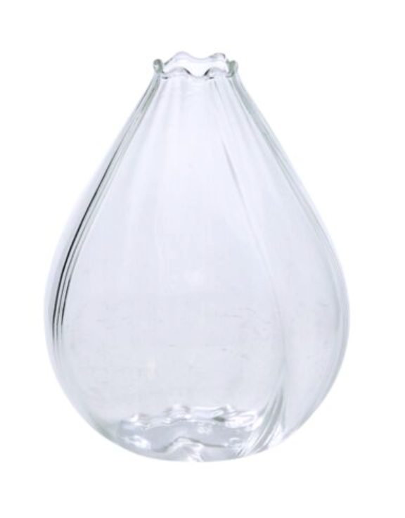 Viola Budvase