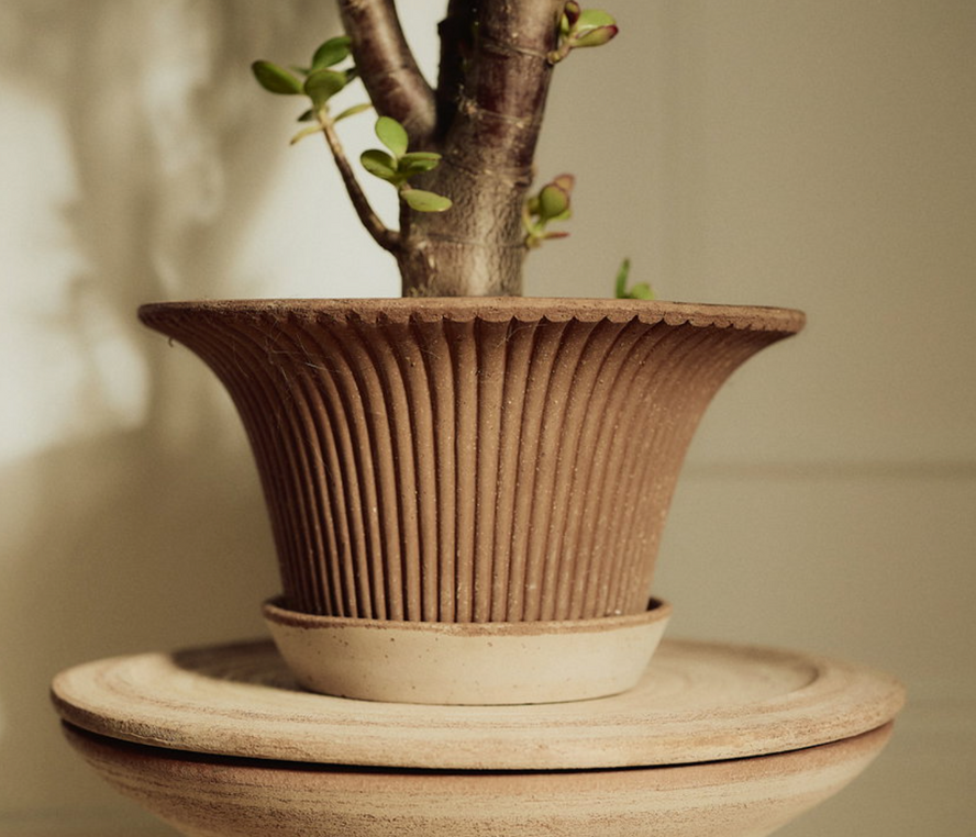 Daisy Pot