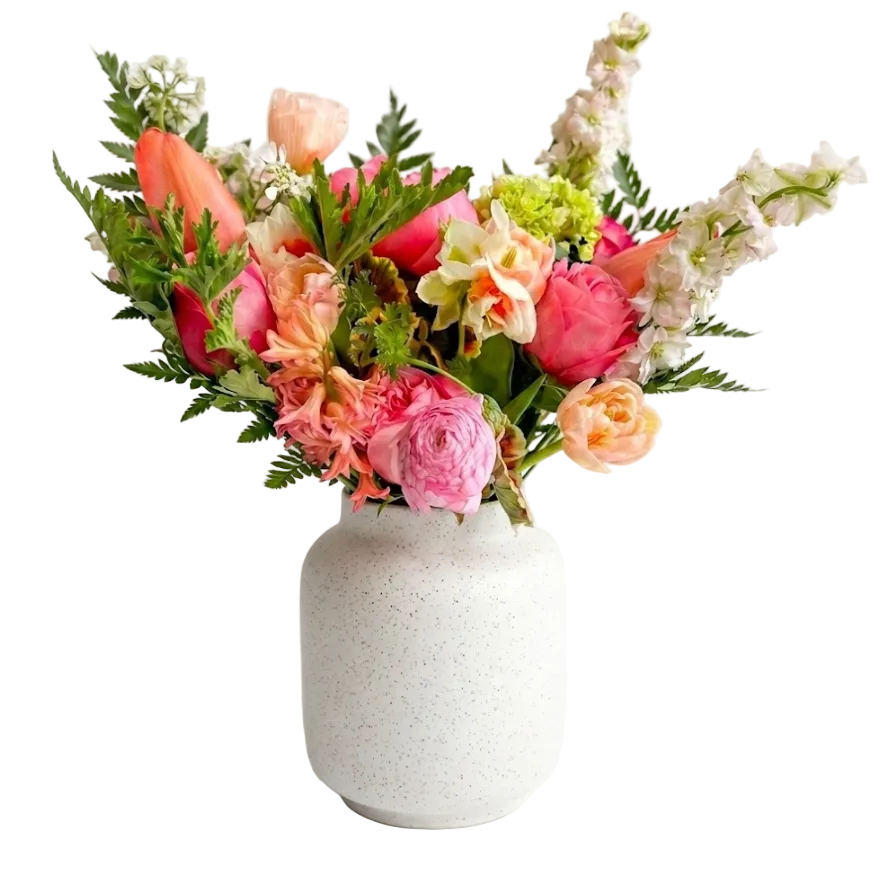 Garden Blooms | Regular
