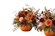Pumpkin Harvest