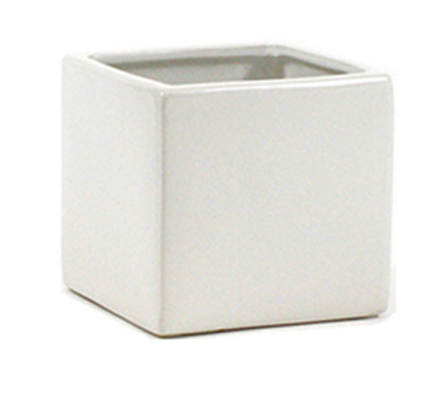 Square Vase
