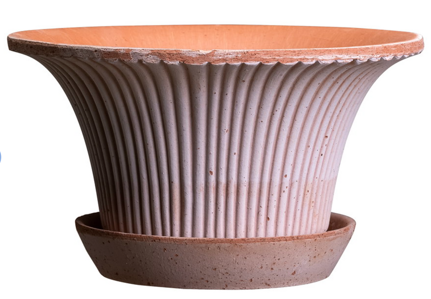 Daisy Pot