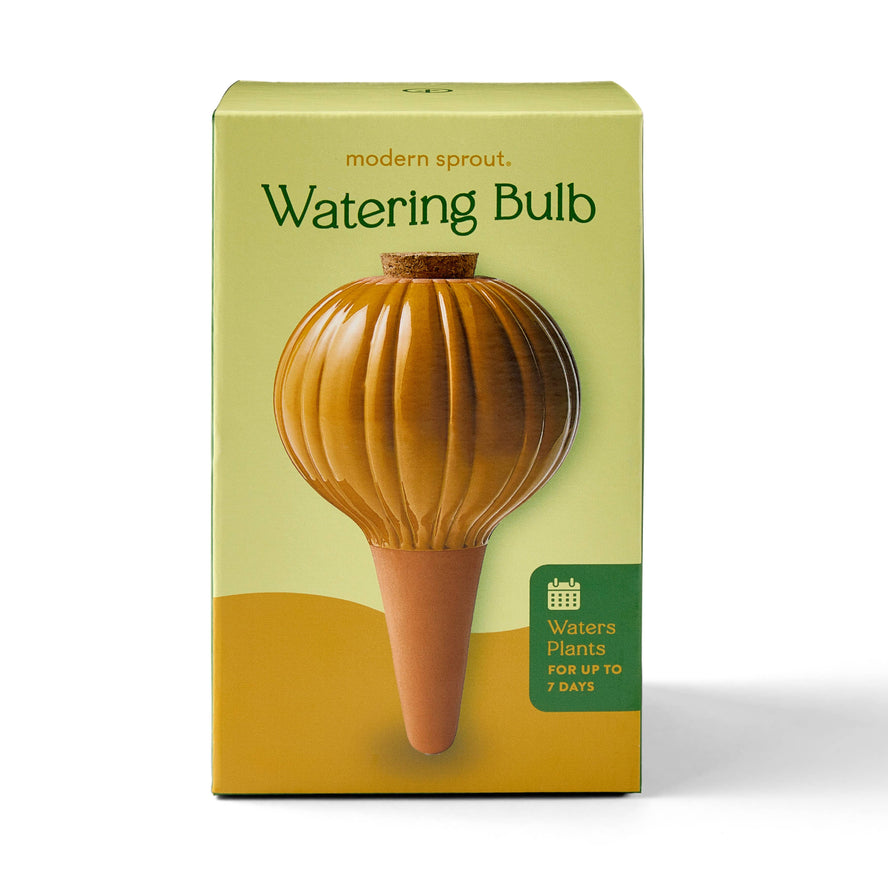 Terracotta Watering Bulb Sage