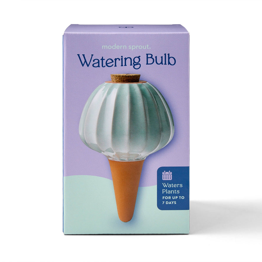 Plum Terracotta Watering Bulb