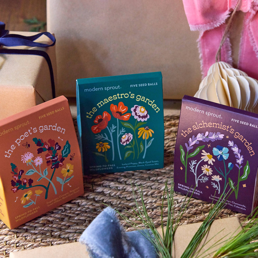Bespoke Blooms: The Maestro's Garden