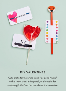 Big Heart Little Notes