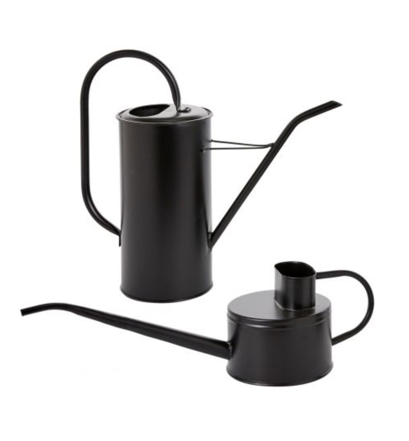 Fletch Watering Can